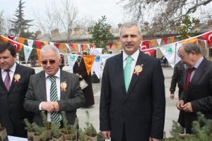 Vatandaşlar bedava fidanları kapıştı