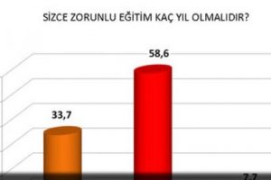 Eğitim araştırmasında &ccedil;arpıcı sonu&ccedil;lar