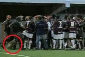K&ouml;pek futbolcuyu ısırdı!