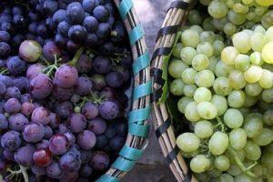 Y&uuml;ksek tansiyona &uuml;z&uuml;m freni