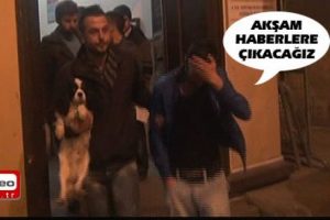 Fidye i&ccedil;in k&ouml;pek &ccedil;aldılar