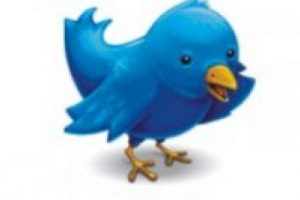 Twitter'da takip ettiklerinizi yiyen b&ouml;cek
