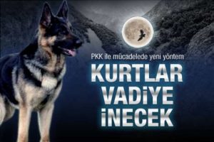 Kurtlar vadiye inecek, ter&ouml;rle m&uuml;cadele edecek