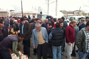 Hayvan pazarı canlandı