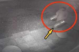 Bu hırsızlık t&uuml;r&uuml; ilk kez ortaya &ccedil;ıktı