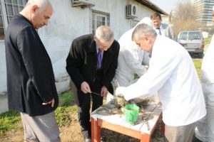 Terminat&ouml;r b&ouml;cekler ormanların koruma kalkanı