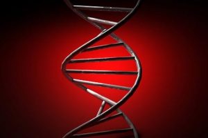 DNA hastalık riskini belirlemiyor