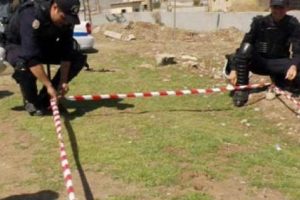 Polisin karınca hassasiyeti
