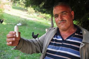 Bu yumurta g&ouml;renleri şaşkına &ccedil;eviriyor