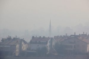 &Ccedil;evre kirliliğine bitkisel &ccedil;&ouml;z&uuml;m