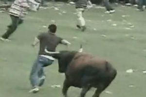 Boğaların intikamı