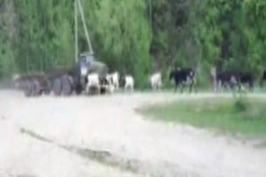 Freni patlayan kamyon dehşet sa&ccedil;tı