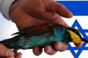 İsrail'den 'casus kuş' cevabı!