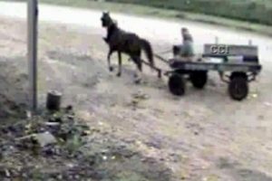 D&ouml;rt nala hırsız servisi