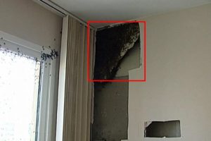 İki duvar arasından organik bal &ccedil;ıktı