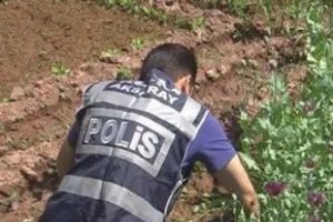 Kene alarmı