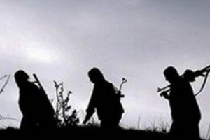 PKK 10 kişiyi ka&ccedil;ırdı