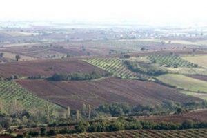 2B tarım arazileri i&ccedil;in 100 milyon TL kredi