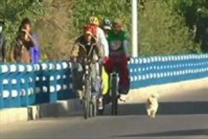 Bu k&ouml;pek izlenme rekorları kırdı
