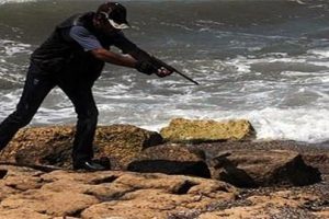 Yaralı foka t&uuml;fekli antibiyotik tedavisi