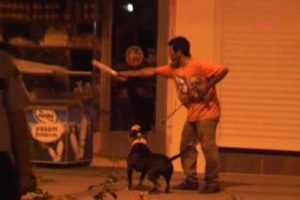 Pitbull ve d&ouml;ner bı&ccedil;ağıyla dehşet sa&ccedil;tı