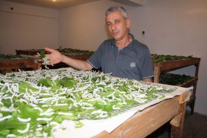 B&ouml;cekten ipeğe zahmetli yolculuk