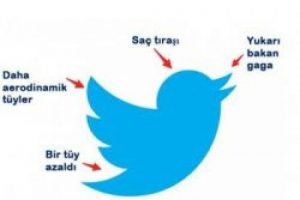 Larry'nin sa&ccedil;ları gitti