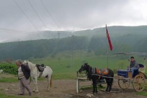 Turistler serin yaylaların tadını &ccedil;ıkarıyor