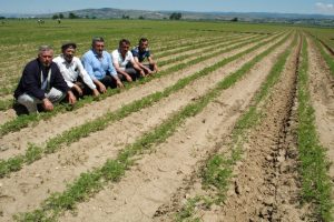Yenişehir &ccedil;ift&ccedil;isinin yeni &uuml;midi havu&ccedil;