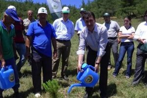 Osmangazi'de 666 bin fidan toprakla buluştu