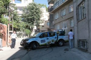 Mahalleyi arılar bastı