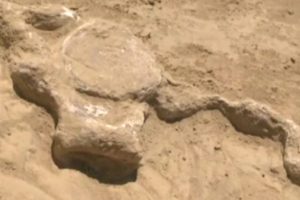 Sırbistan'da d&uuml;nyayı şaşırtan keşif