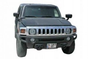 &Uuml;nl&uuml;lerde Hummer paniği