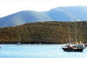 Suudi Prens'ten 'bu araziyi alın' talimatı