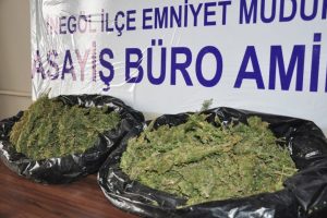 İneg&ouml;l'de 1,5 kilogram esrar ele ge&ccedil;irildi