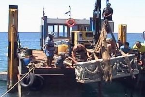 Denizden lahit &ccedil;ıktı
