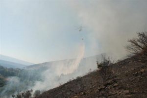 Marmara Adası'nda korkutan yangın