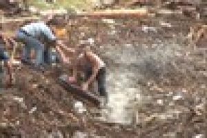 Karadeniz'de afet var kimse farkında değil
