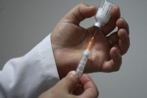 Domuz gribi Bolivya'da 11 can aldı