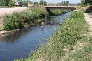 Karadere'de kirlilik toplu balık &ouml;l&uuml;mlerine yol a&ccedil;tı