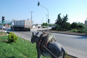 BBP'den eşek heykeline tepki