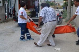Kızları bakmadı, karıncalar yedi