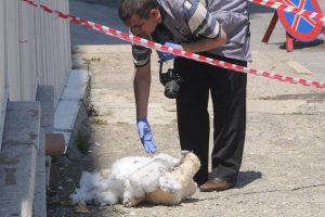Askeri lise &ouml;n&uuml;nde bomba paniği