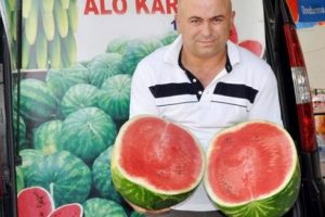 İşte bir T&uuml;rk buluşu daha: "Alo kapruz hattı"