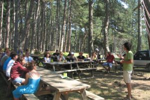 Kocayayla'da "yeşil" kamp
