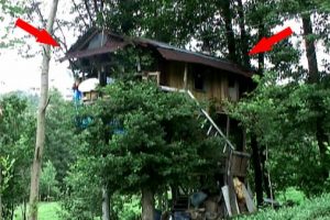 Bir Rize efsanesi daha