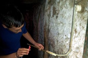 Dama giren yılanı elektrik &ccedil;arptı