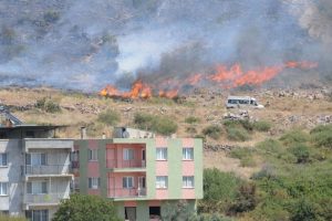 İzmir'de makilik alanda yangın