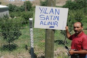 Yılanı getir parayı g&ouml;t&uuml;r