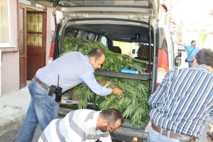 G&uuml;ven timlerinden kenevir operasyonu